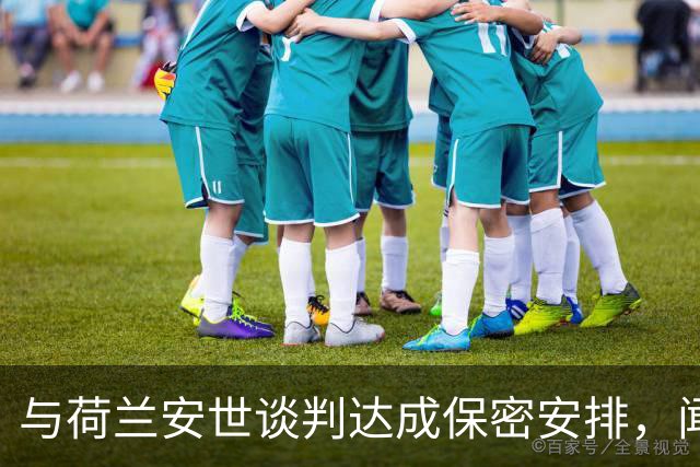 与荷兰安世谈判达成保密安排，闻泰股价涨停！