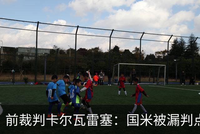 前裁判卡尔瓦雷塞：国米被漏判点球，VAR本应介入纠错