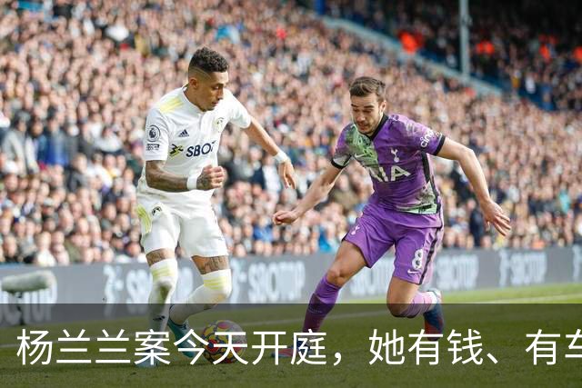 杨兰兰案今天开庭，她有钱、有车、有房，就是查不到她是谁