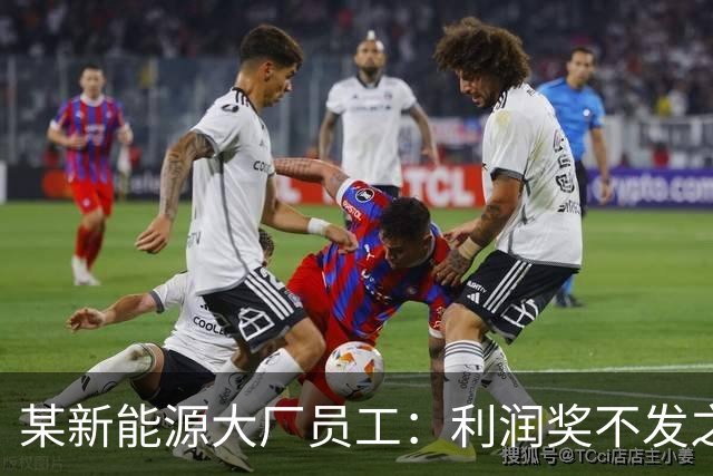 某新能源大厂员工：利润奖不发之后，确诊抑郁了