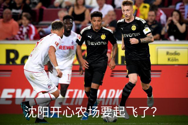 沈阳开心农场要起飞了？
