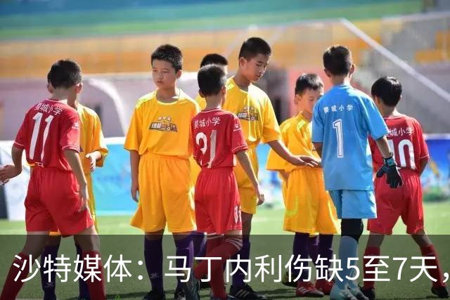 沙特媒体：马丁内利伤缺5至7天，预计11月7日复出