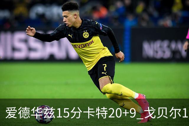 爱德华兹15分卡特20+9 戈贝尔14+9森林狼击败魔术
