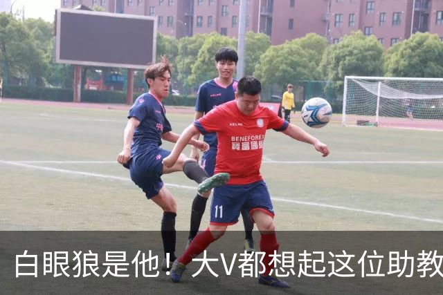 白眼狼是他！大V都想起这位助教 把鲁能告上法庭