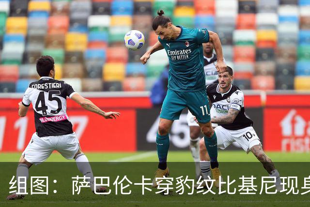 组图：萨巴伦卡穿豹纹比基尼现身海边 展示曼妙曲线