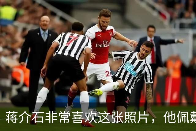 蒋介石非常喜欢这张照片，他佩戴的六枚勋章都代表着什么意义？