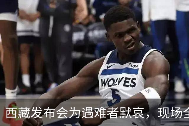 西藏发布会为遇难者默哀，现场全体起立，悼念遇难同胞；此次地震震级高、震源浅，震区平均海拔接近4800米