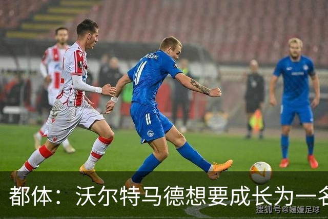 都体：沃尔特马德想要成长为一名禁区终结者还有很长的路要走