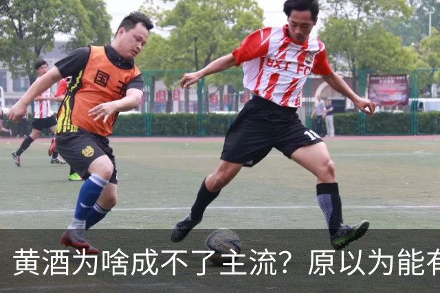 黄酒为啥成不了主流？原以为能有共鸣，谁料评论一边倒
