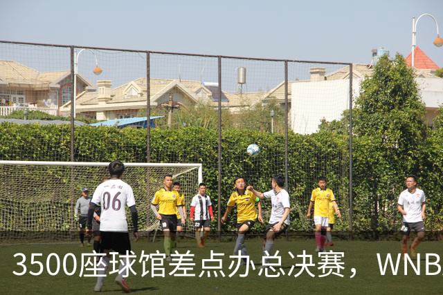 3500座球馆差点办总决赛，WNBA改到17000座
